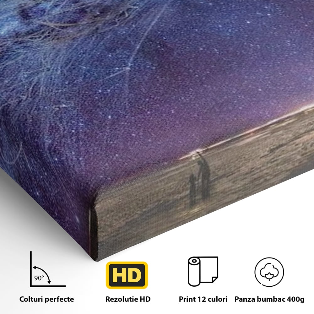 Detaliu al suprafetei: ilustratie digitala cu meduza cosmica si stele, fara rama, pe sasiu de lemn